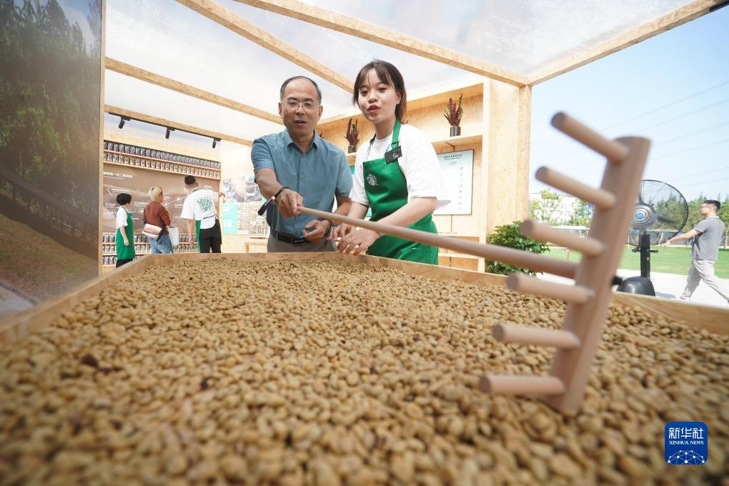 银河5144网站